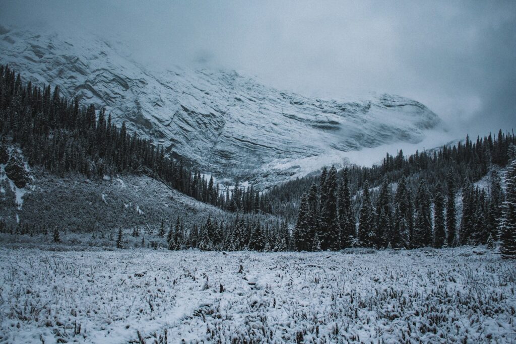 a snow covered mountain with trees in the foreground. Just like The North